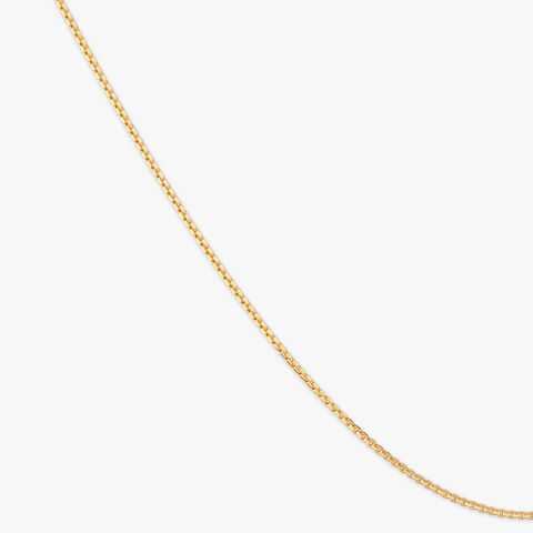 Shimmering Gold Chain