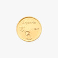 Free Spirit Aquarius Coin,,hi-res image number null