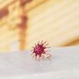 Rhapsody of Romance,,hi-res image number null