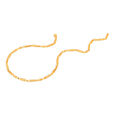 Unique Design Gold Chain,,hi-res image number null