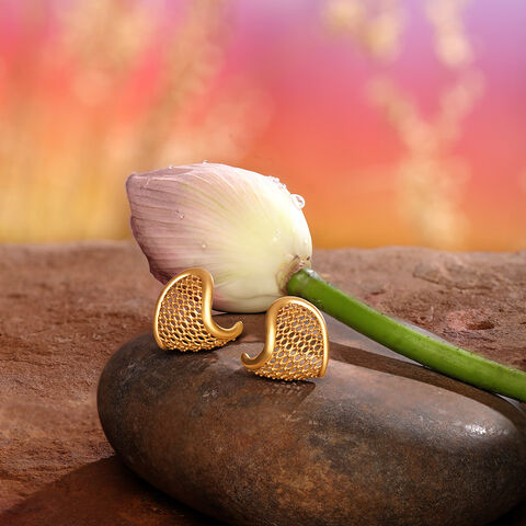 Enchanting Wrap Earrings
