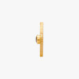 Free Spirit Aquarius Coin,,hi-res image number null