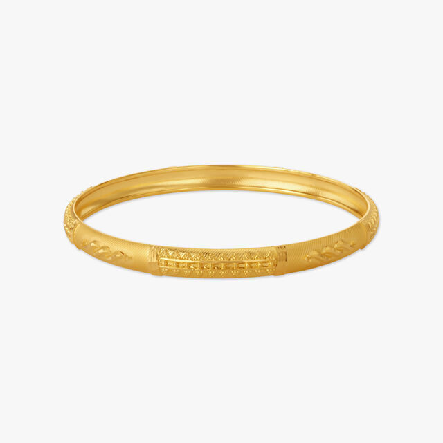 Elegant Minimal Bangles,,hi-res image number null