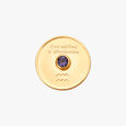 Free Spirit Aquarius Coin,,hi-res image number null