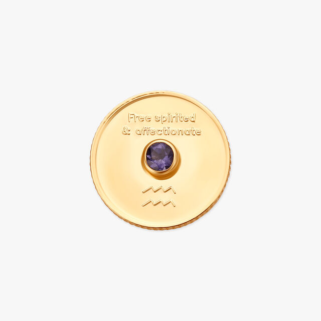Free Spirit Aquarius Coin,,hi-res image number null