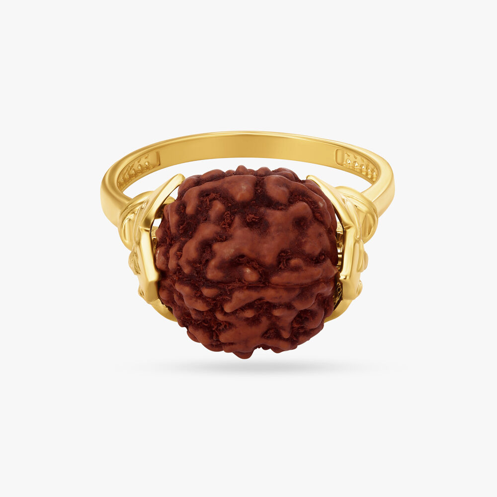 Buy Top Quality 13 Mukhi Rudraksha Ring from Shaligram Shala