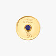 Strong Capricorn Coin,,hi-res image number null