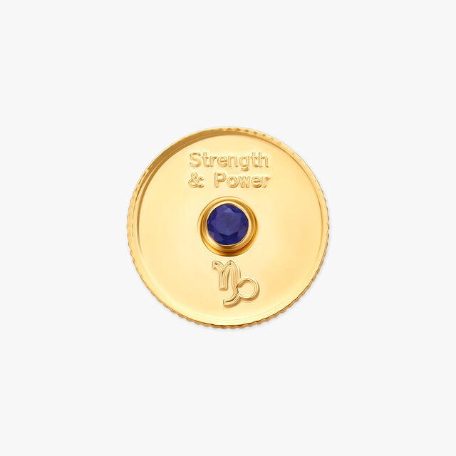 Strong Capricorn Coin,,hi-res image number null