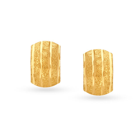 Delicate Alluring Hoop Earrings