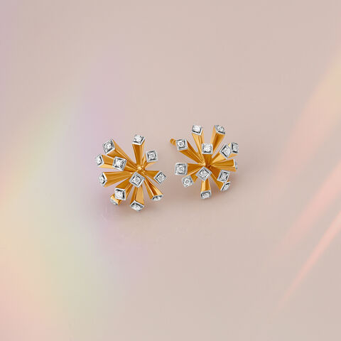 Twinkle of Eye Earrings