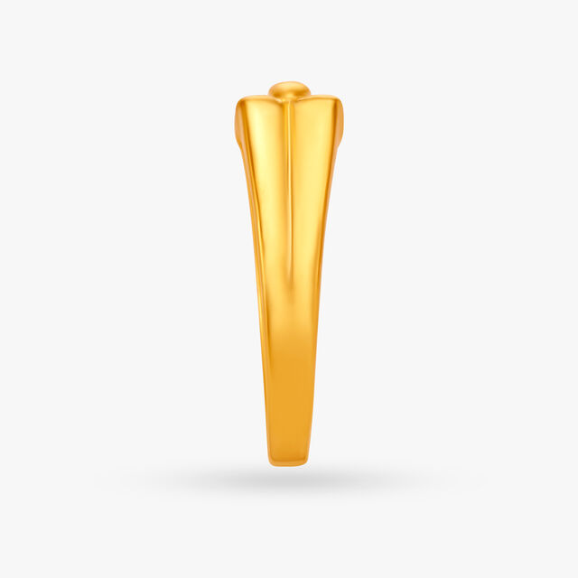Alluring Ring for Men,,hi-res image number null