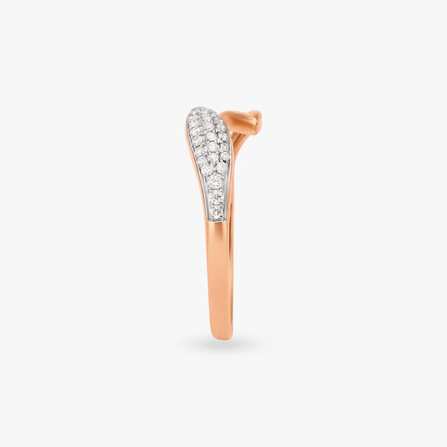 Dual-Tone Detached Ring
