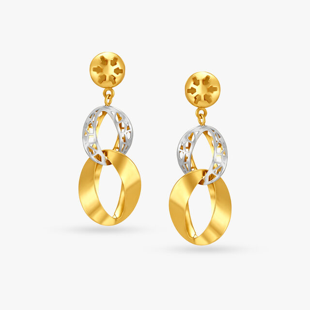 Stunning Modish Drop Earrings 