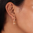 Golden Sway 18KT Gold Stud Earrings 2