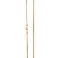 Dainty Gold Chain,,hi-res 2