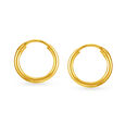 Sublime Gold Hoop Earrings,,hi-res 