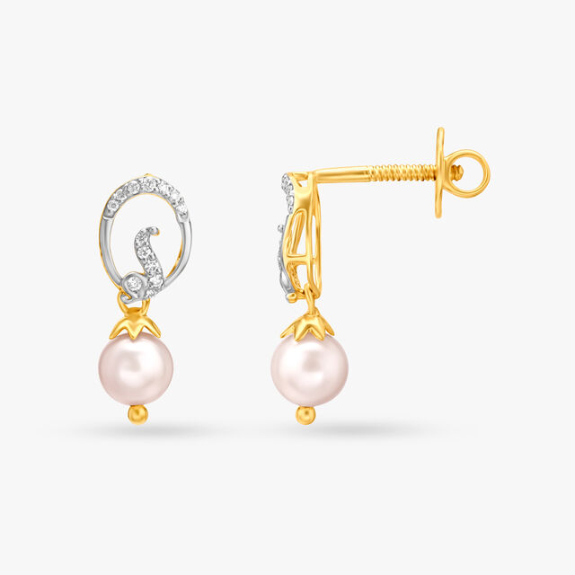 Exquisite Diamond Drop Earrings 2
