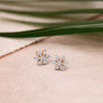 Brilliant Traditional Diamond Stud Earrings,,hi-res 