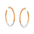 Alluring Gold Hoop Earrings,,hi-res 
