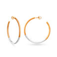 Alluring Gold Hoop Earrings,,hi-res 2