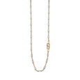 Eclectic Rose Gold Chain,,hi-res 2