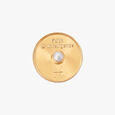 Intelligent Pisces Coin 2