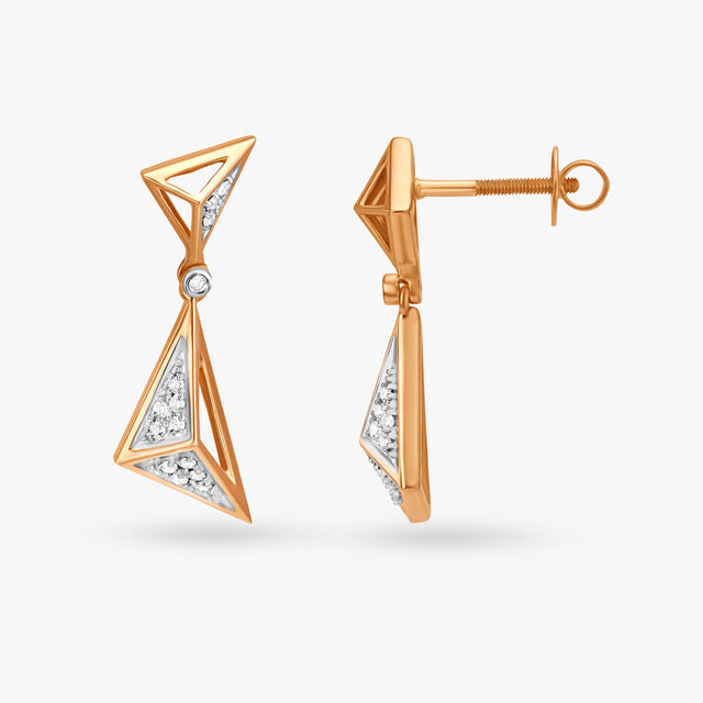 Impeccable Drop Earrings 2