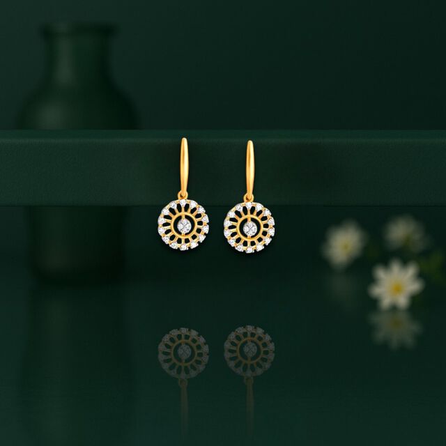 Radiant memoirs Drop Earrings