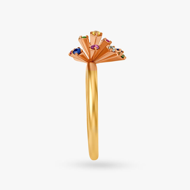 You're a Firework - Ring 3