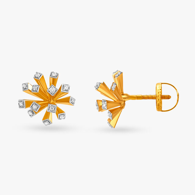 Twinkle of Eye Earrings 3