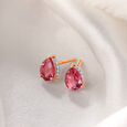 Dainty Darlings Diamond Stud Earrings 