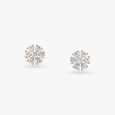 Stunning Diamond Stud Earrings 