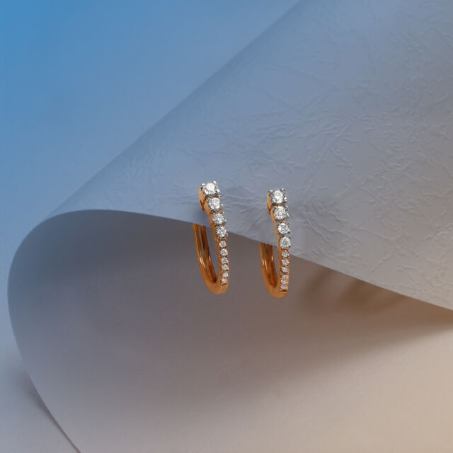 Sleek and Shine Hoop Earrings 