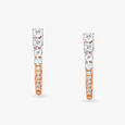Sleek and Shine Hoop Earrings 4