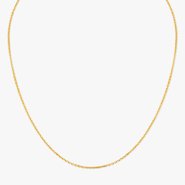 Dainty Gold Chain,,hi-res 