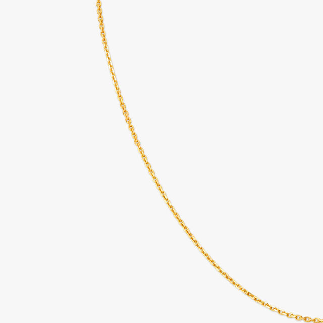 Dainty Gold Chain,,hi-res 2