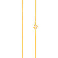 Sleek Gold Foxtail Chain 2