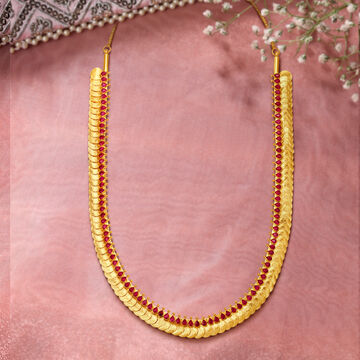 Magnificent Lakshmi Kasu Necklace