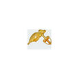 Leaf Motif Gold Stud Earrings 2