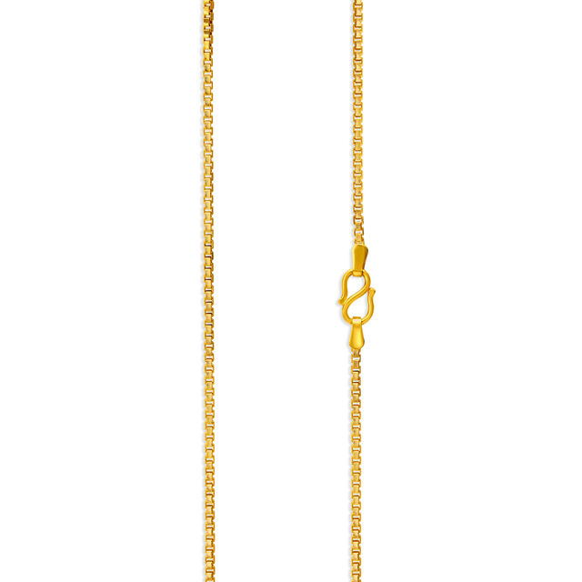 Dainty Glossy Gold Chain,,hi-res 2