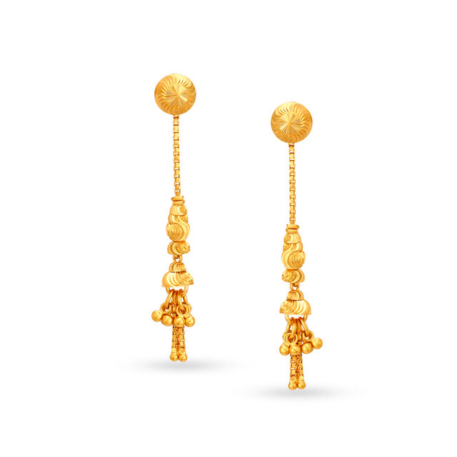 Bewitching Traditional Drop Earrings 2
