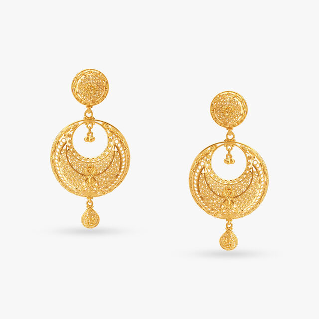 Charm and Sparkle Drop Earrings 