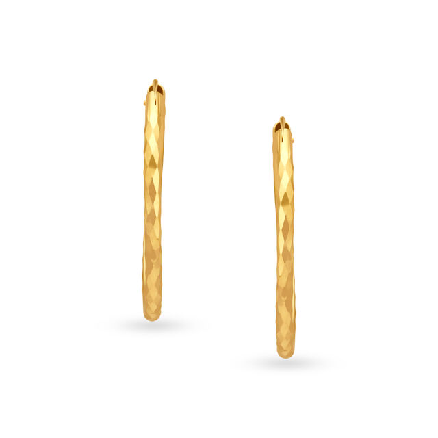 Splendid Elegant Hoop Earrings,,hi-res