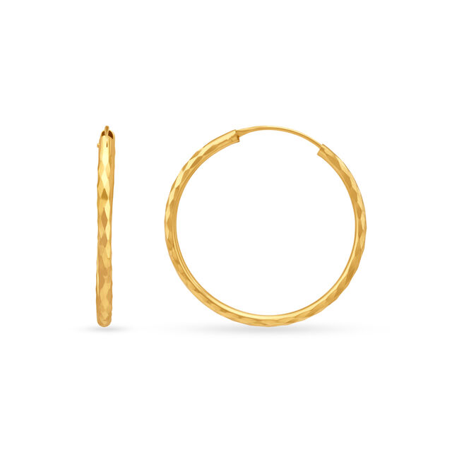 Splendid Elegant Hoop Earrings,,hi-res