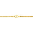 Sparkling Gold Chain,,hi-res 2