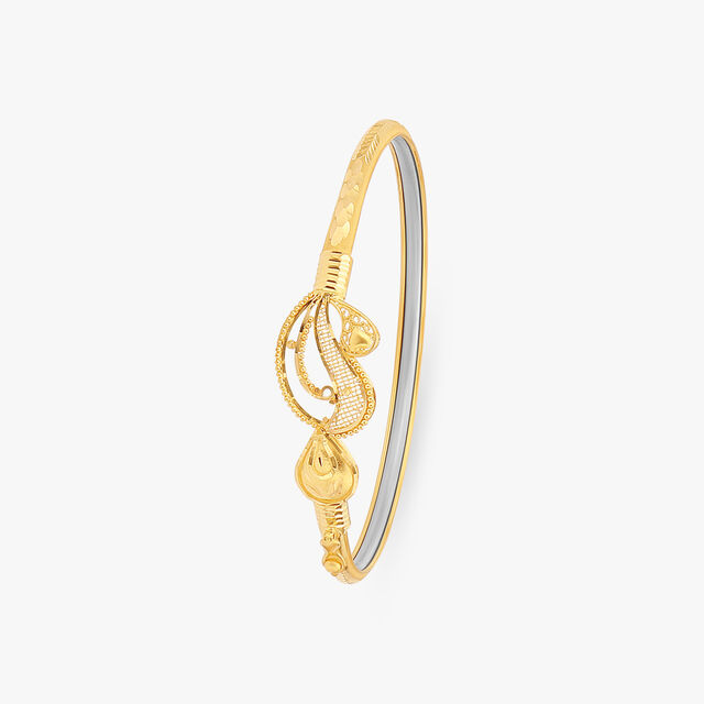 Paisley Passion Bangle 2