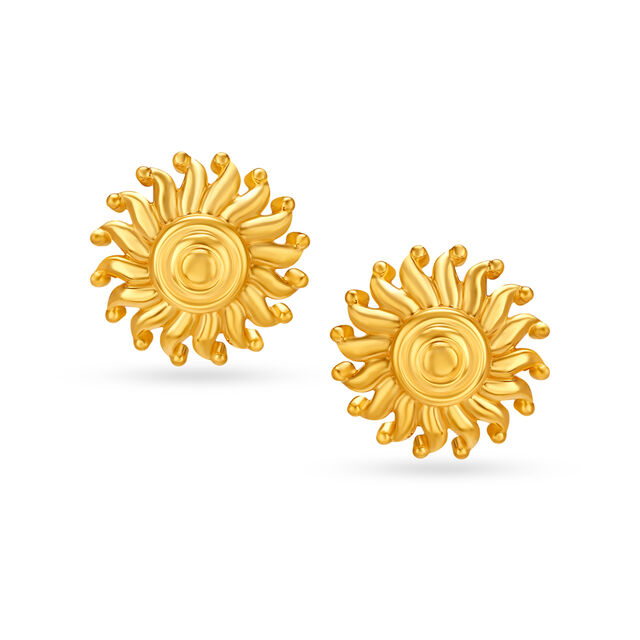 Striking Stud Earrings 