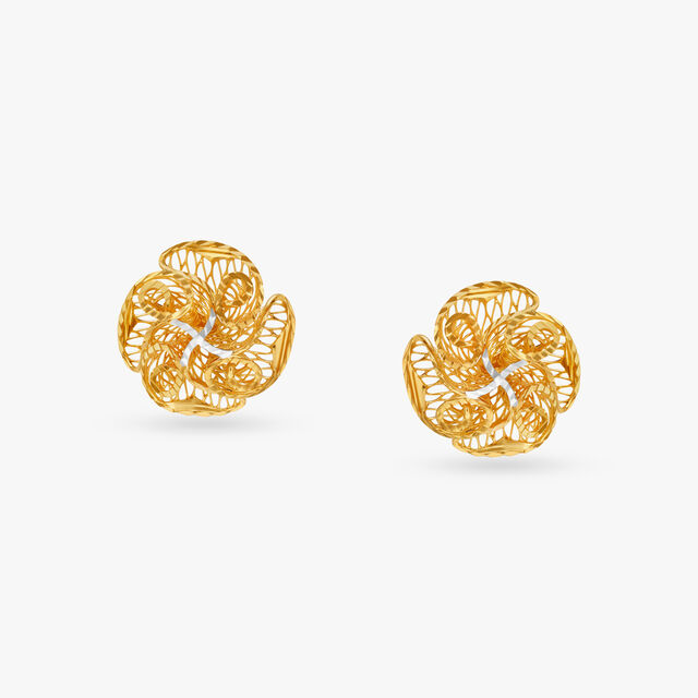 Utterly Captivating Stud Earrings 