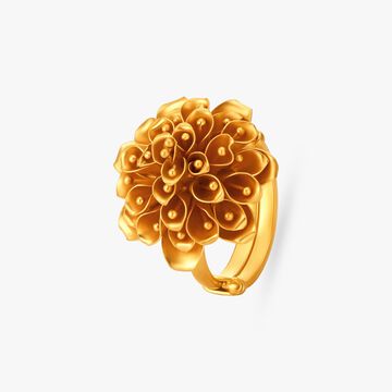 Sophisticated Statement Ring