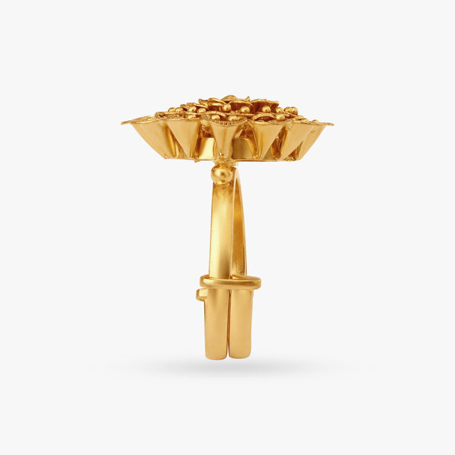 Striking Elegance Ring 4